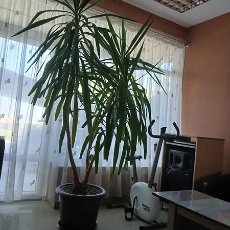 Casa Daniel Borbel Pensión 3*