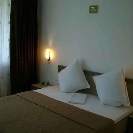 Casa Daniel Borbel Pensionat 3*